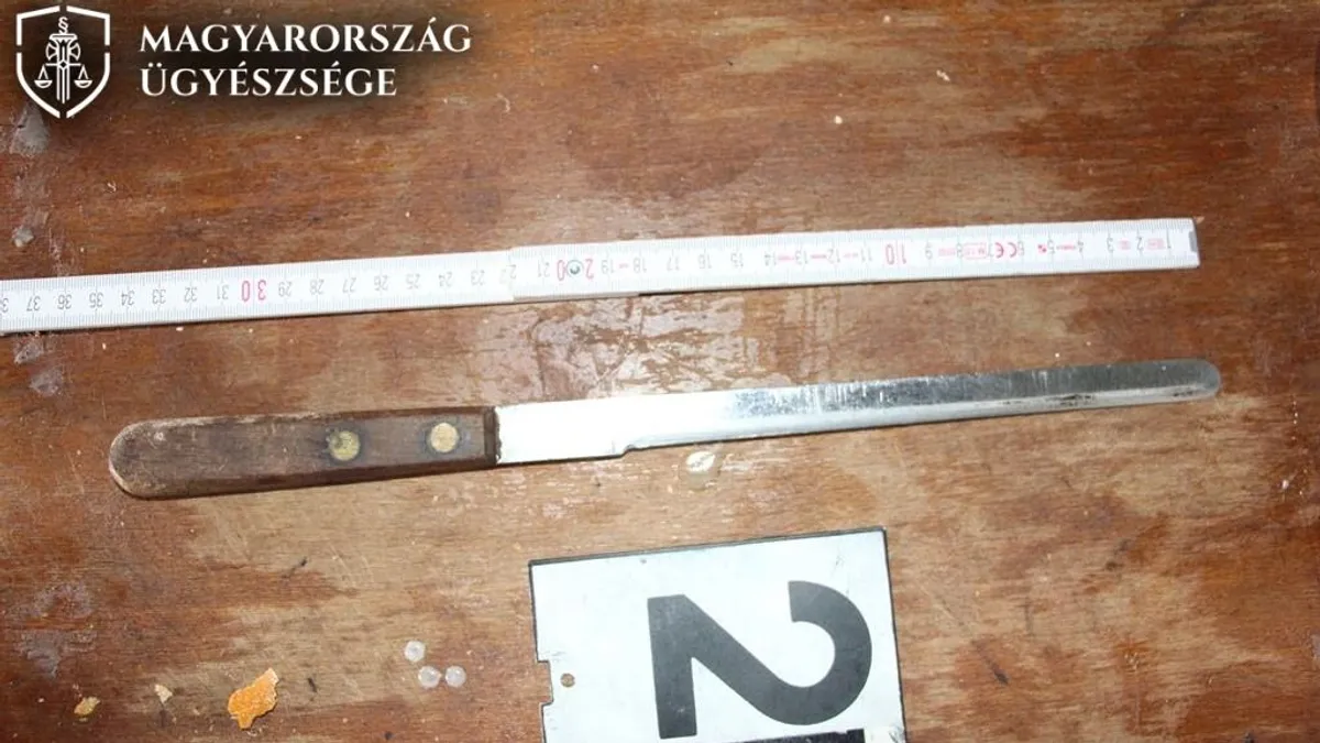 Brutális rablási kísérlet – saját idős rokonukat támadták meg álmában