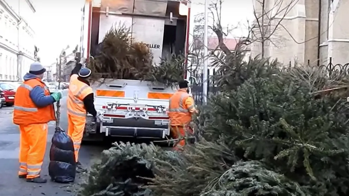 Ma van vízkereszt, ezt kell tudni a karácsonyfabontásról