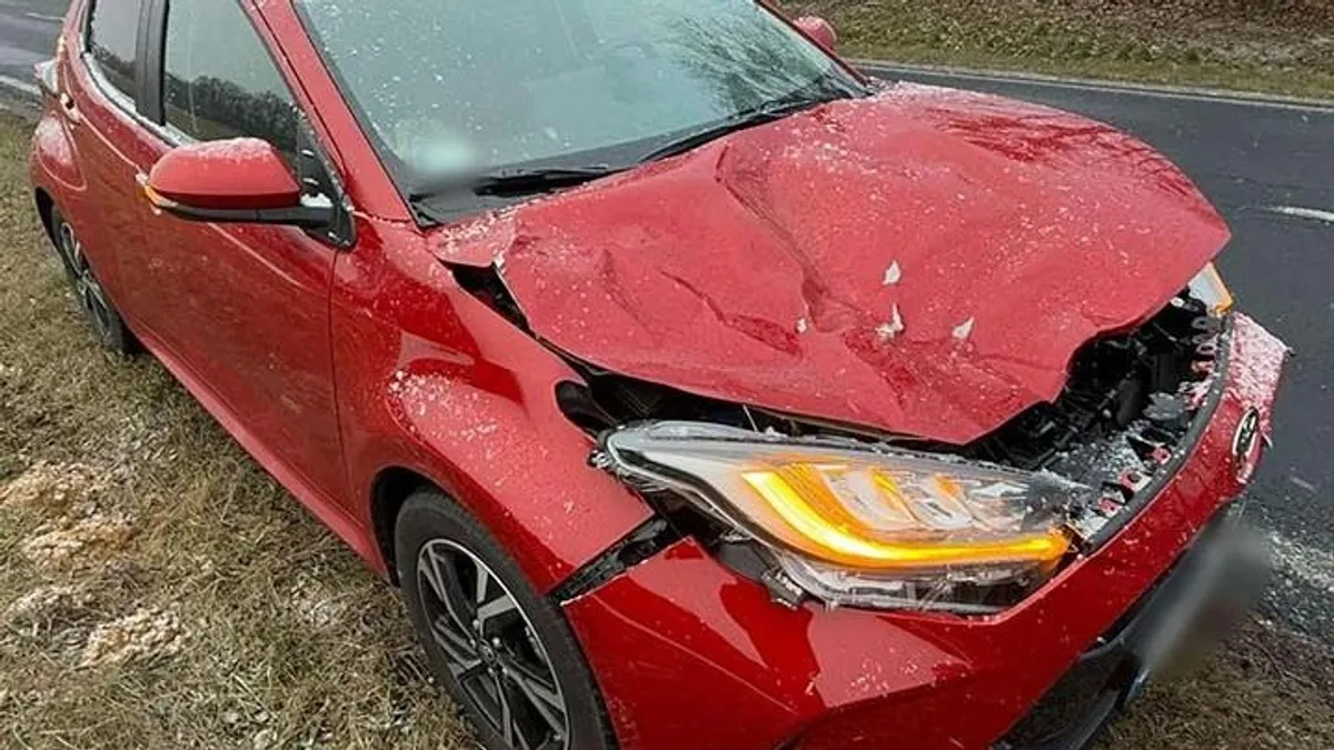 A semmiből ugrott egy szarvas egy autó elé Sárvárnál, a sofőr reakciója példamutató volt - videó