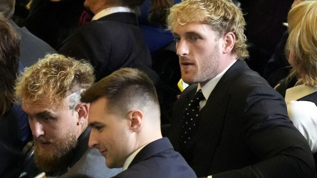 Jake és Logan Paul, lopás