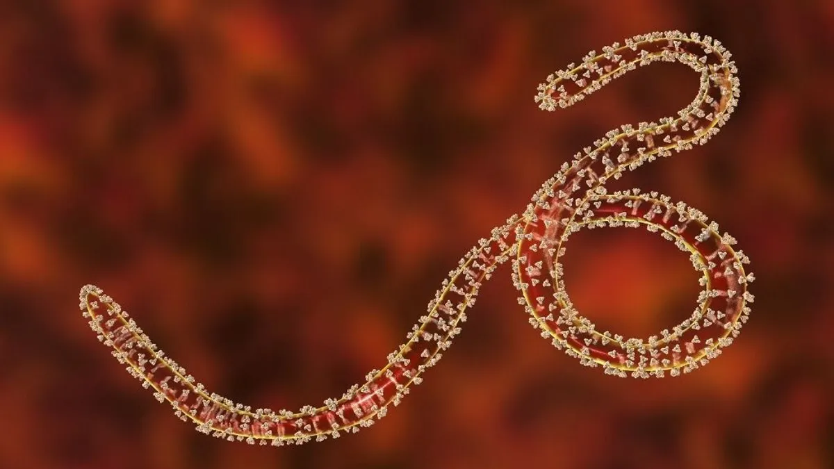 Ebola terjedése: a bőrön keresztül is fertőzhet