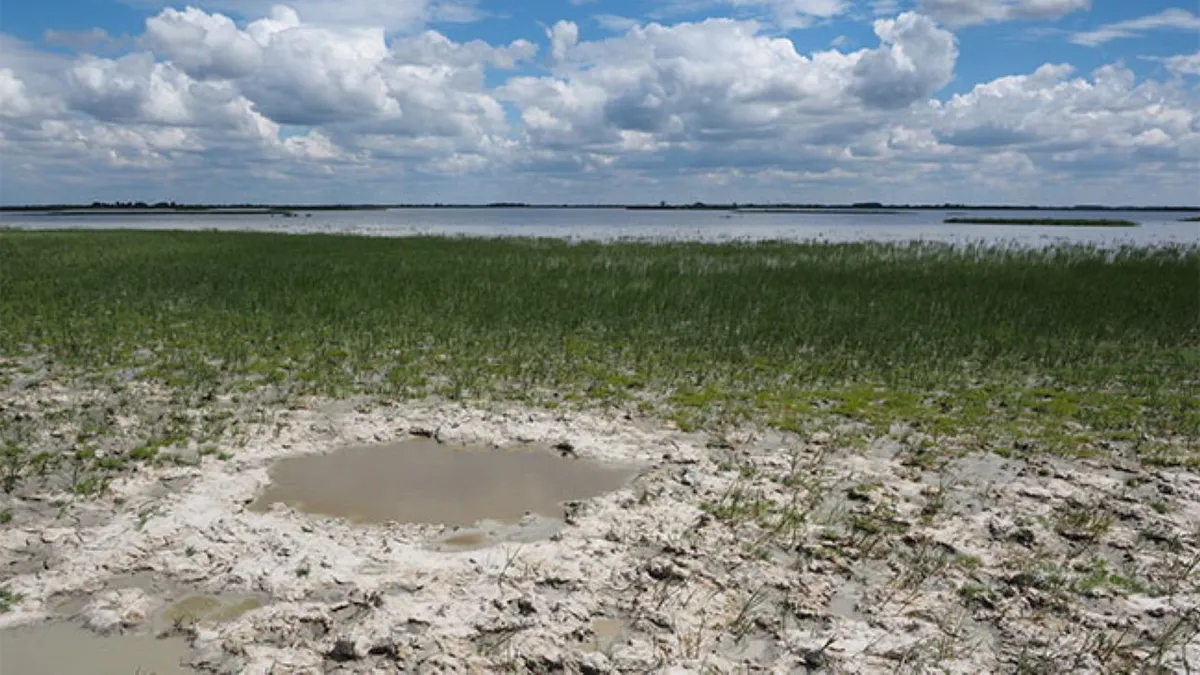 50 éves a Kiskunsági Nemzeti Park