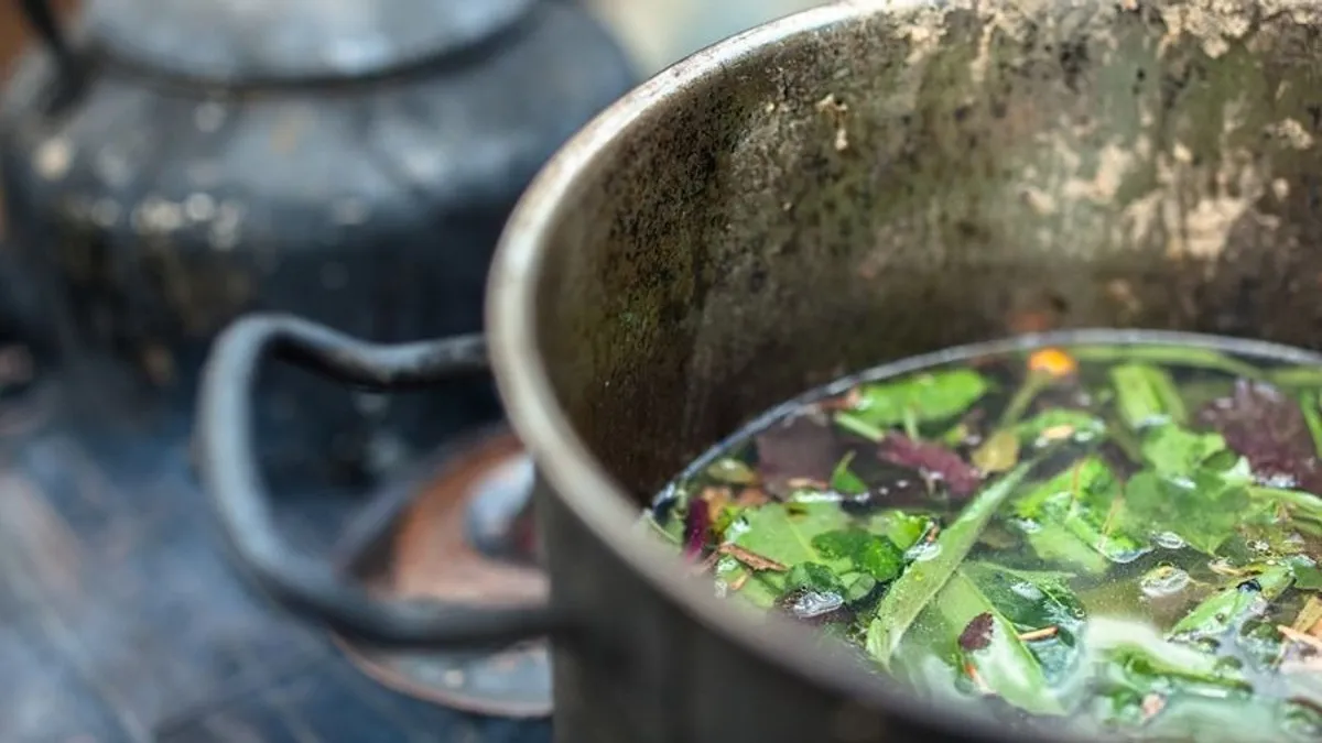 Az ayahuasca döbbenetes előnyeit tárták fel