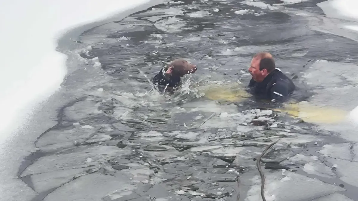Jeges vízből mentettek ki a tűzoltók egy kutyát - videó