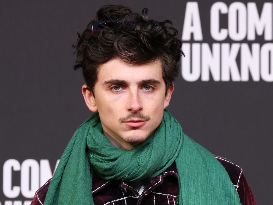 Állandó szinkronok, Timothée Chalamet