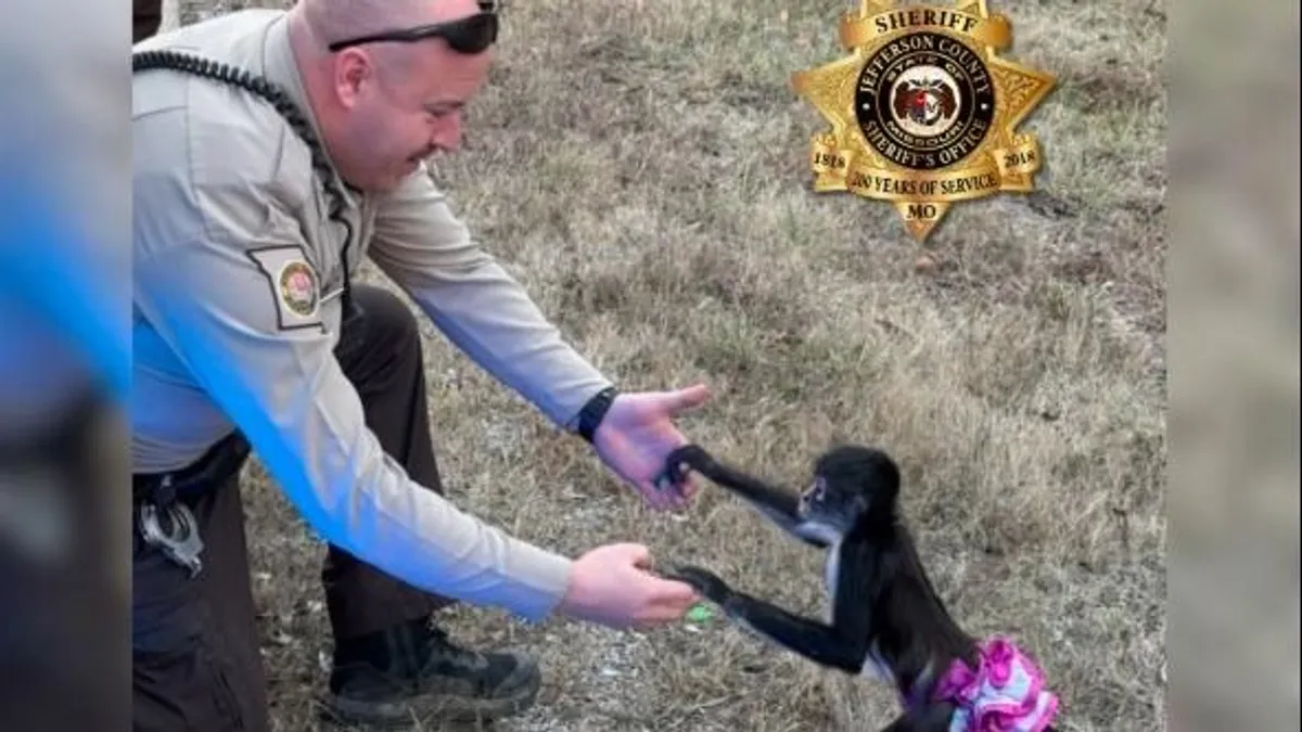 Szökött majmot próbáltak befogni a rendőrök Missouriban