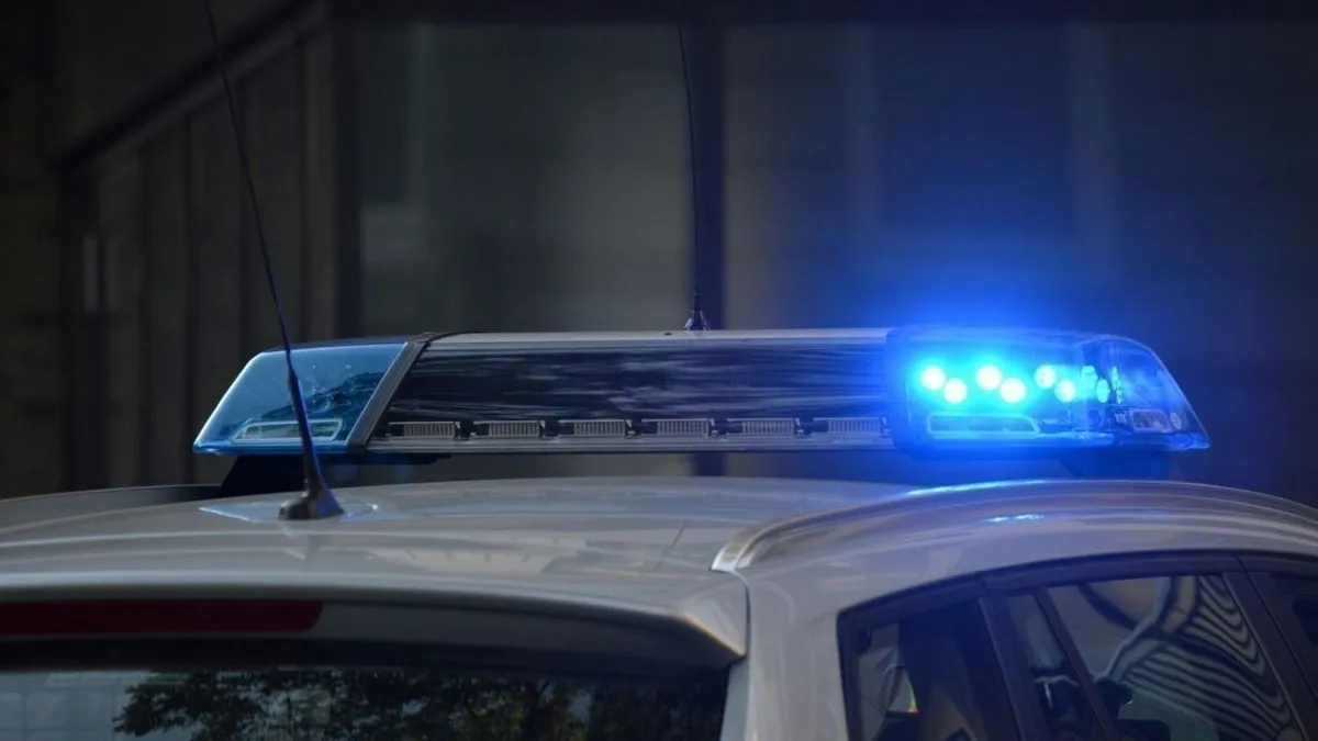 Halálra gázoltak egy nőt; a sofőr azt hitte, őzzel ütközött - videó