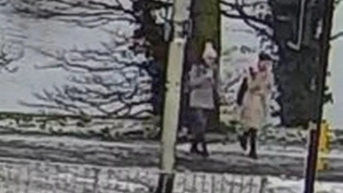 Újabb videó került elő a Skóciában rejtélyes módon eltűnt magyar ikerlányokról