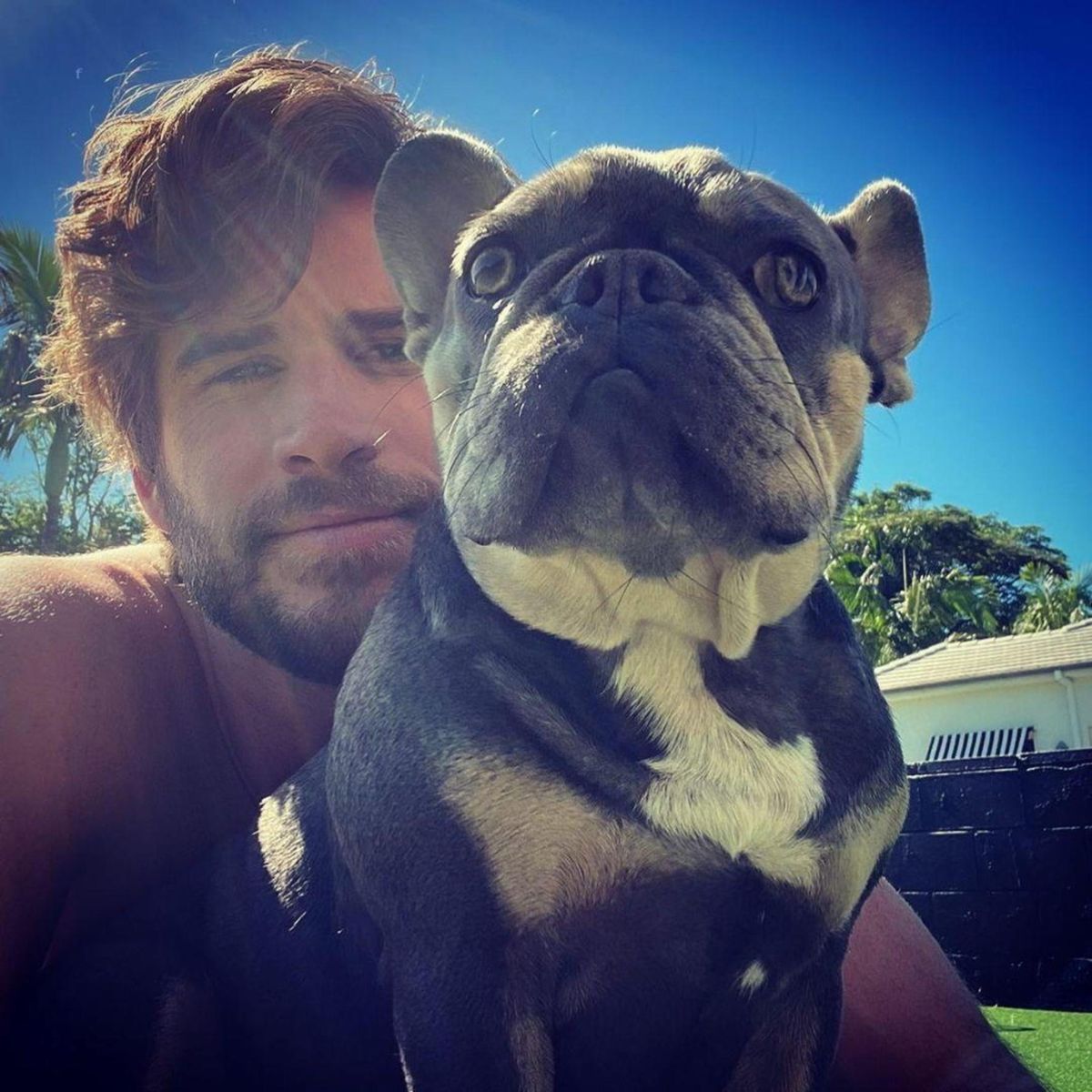 Liam Hemsworth, ausztrál színész, LiamHemsworth