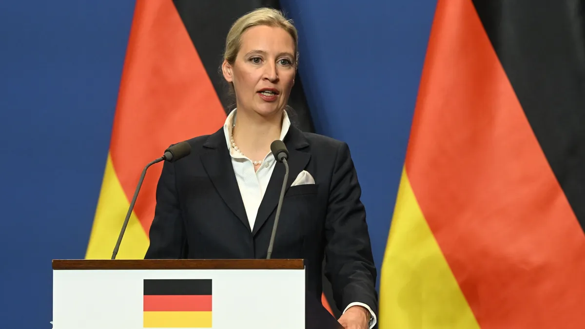 Rekordszinten az AfD támogatottsága