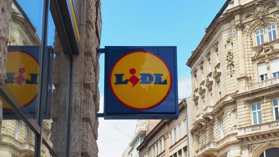 Lidl, logó, illusztráció