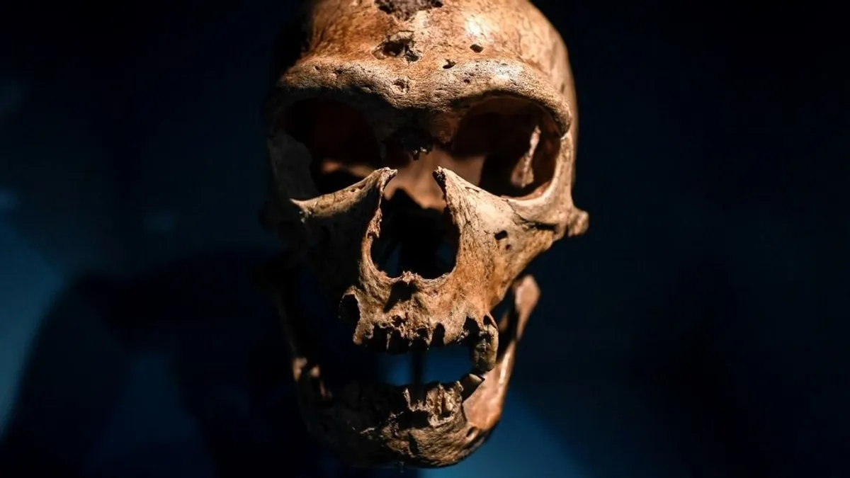 Neandervölgyiek kihalása: ősi rejtély oldódhat meg