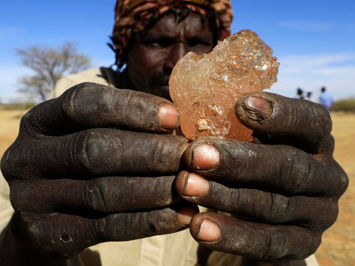 akáciagumi, gumiarábikum, Szudán, élelmiszergyártás, A Sudanese man shows gum arabic sap, in the state-owned Demokaya research forest some 30km east of El-Obeid, the capital city of the central wilayet (state) of North Kordofan, on January 9, 2023. Sudan is among the countries hardest hit by climate change, and in the central Kordofan region, the rise in recorded temperatures is double the world average, according to the UN's Food and Agriculture Organisation. Gum arabic acacia trees are not only tapped to produce valuable sap, but also help farmers relying on increasingly erratic rainfall by boosting moisture for their crops, making the difference between a healthy harvest or failure. (Photo by ASHRAF SHAZLY / AFP)