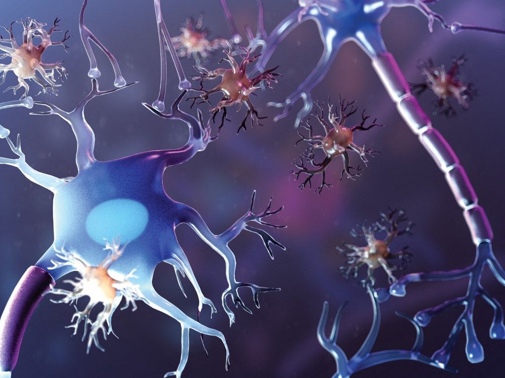 Neuronok és mikroglia sejtek