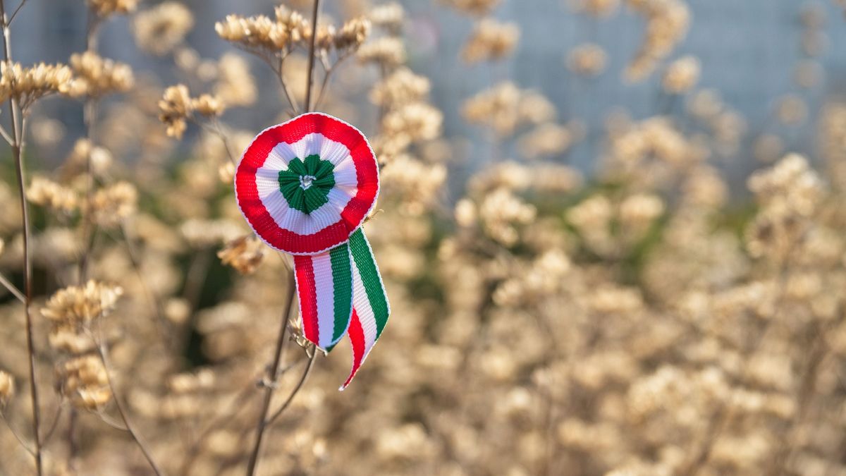 Hungarian national cockade (kokárda) with red, white, and green colors pinned on a plant. Symbol of the 1848 Revolution, worn on March 15 to honor Hungary’s fight for freedom and independence.