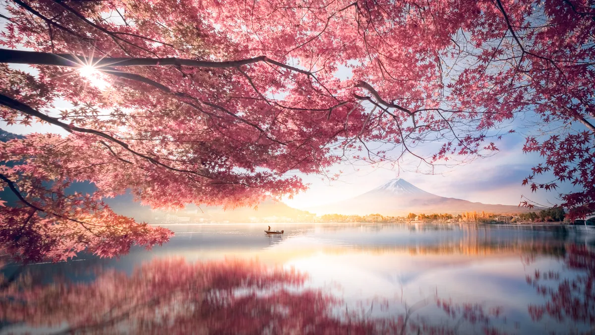 Meseszép képeken a japán cseresznyefavirágzás