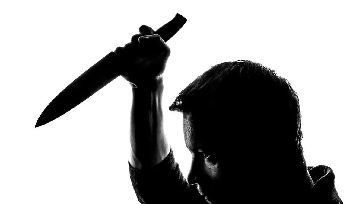 Bevásárlókocsiban tolta áldozata maradványait, amikor a lépcsőházban találkozott a rendőrökkel az orosz darabolós gyilkos