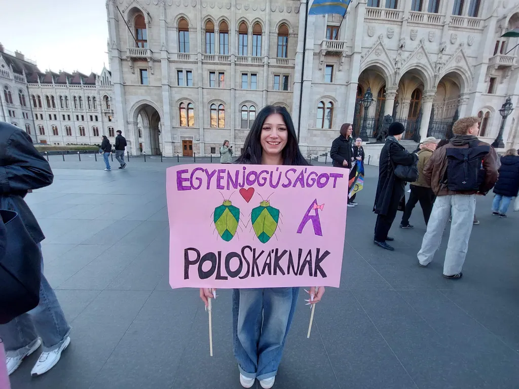 Momentumos tüntetés, hídfoglalás,
Momentumostüntetéshídfoglalás, 20245.03.18.