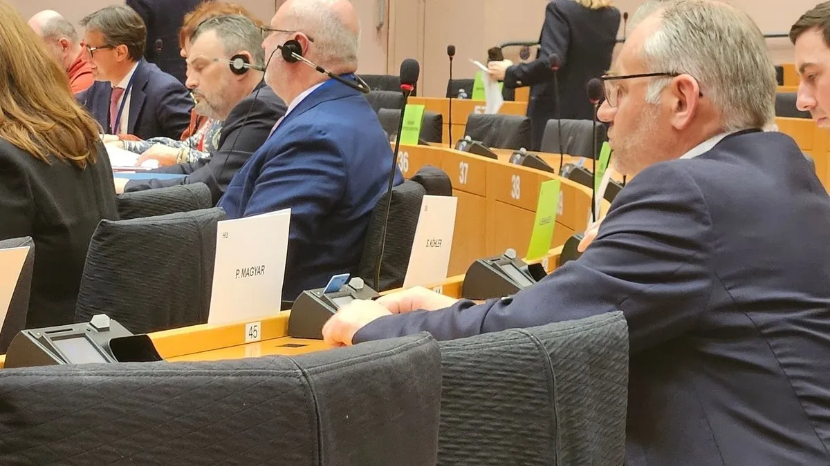 Más szavazott Magyar Péter helyett Brüsszelben – fotó