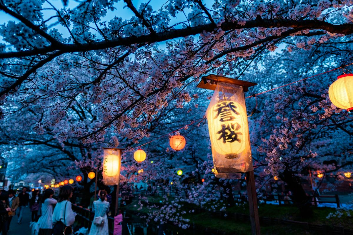 cseresznyevirág, Japán