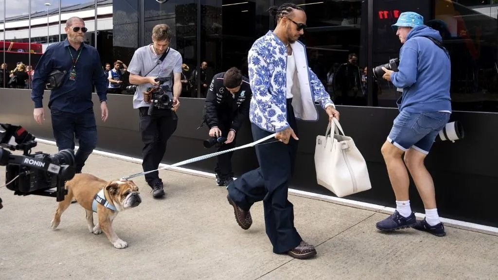 Lewis Hamilton, kutya, Roscoe, bulldog, buldog