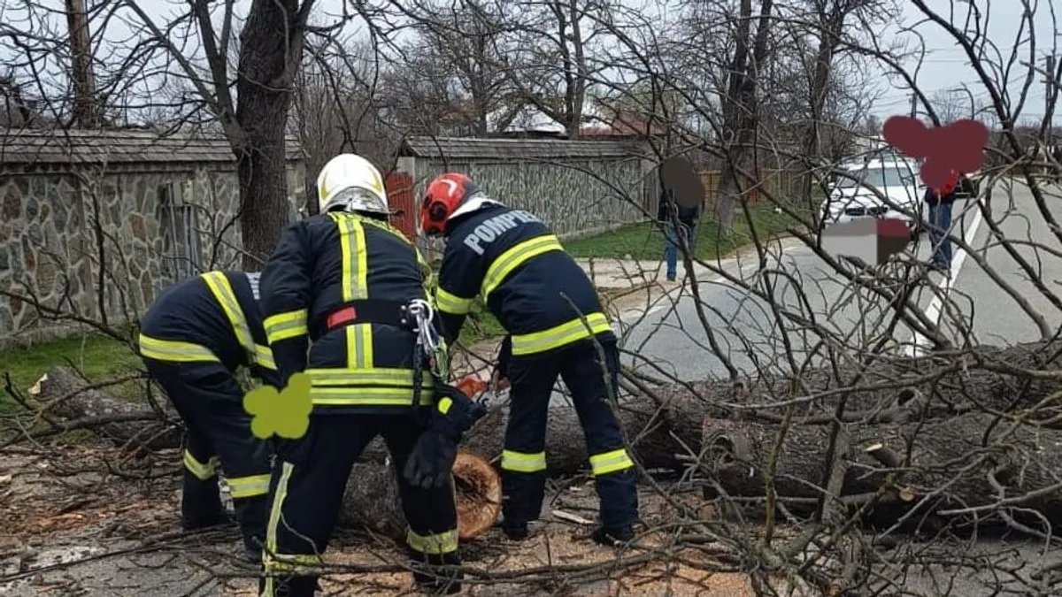 Hatalmas vihar pusztított Romániában: háztetőket rongált meg, fákat döntött ki a szél