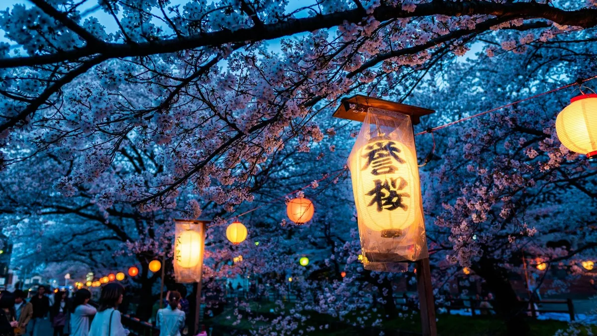 Virágzó pompába öltözött Japán – elkezdődött a cseresznyevirágzás