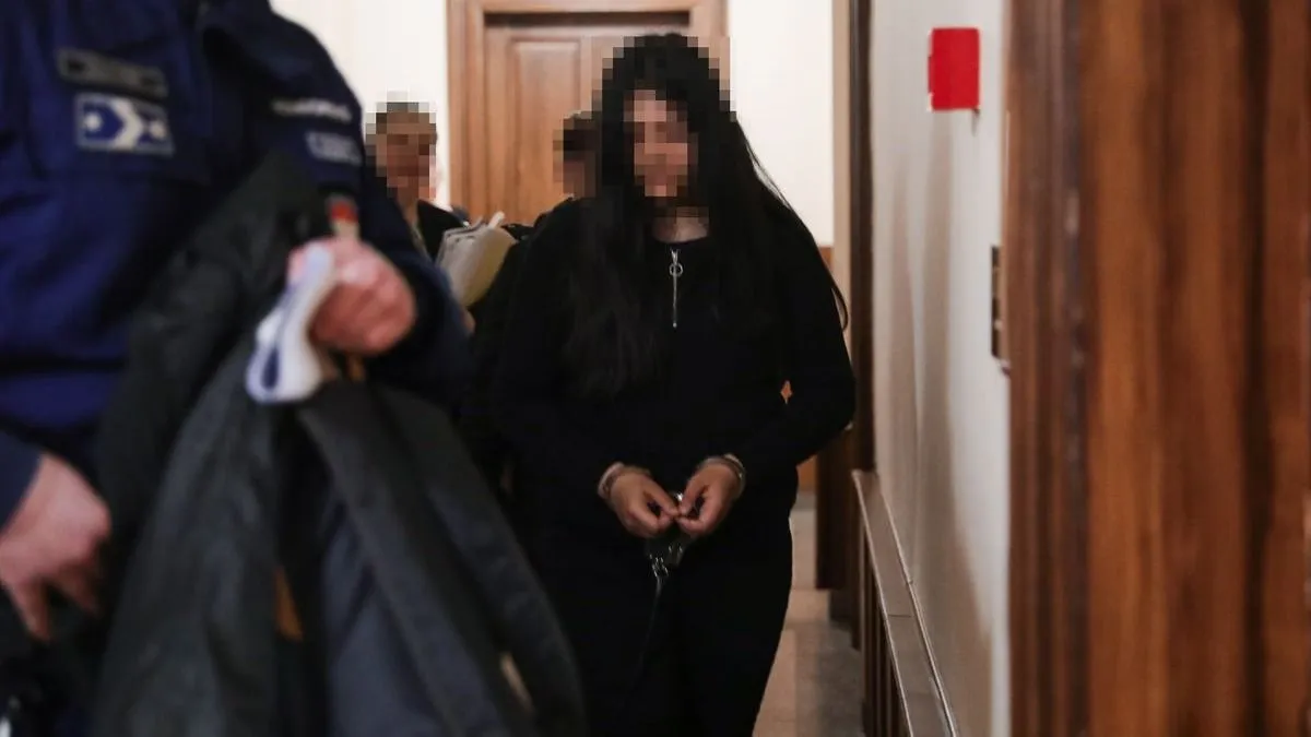 Bíróság elé került a bőnyi késelés 12 éves elkövetője, itt az ítélet – fotó