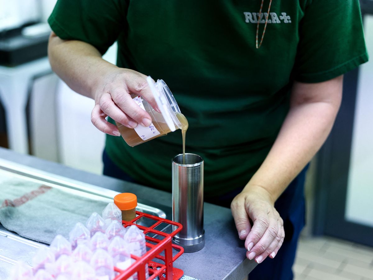akáciagumi, gumiarábikum, Szudán, élelmiszergyártás, A Rizla+ employee tests the quality of gum arabic used in the manufactory process at the Rizla+ factory of cigarette papers in Anvers, on July 6, 2023. As Europe steadily stubs out smoking in the name of public health, a storied French brand of cigarette rolling papers owned by a British group has turned its gaze to Asia. Rizla+ -- pronounced "Riz-Lacroix" -- is relying on Belgium's busy port of Antwerp to trampoline its Arabic-gummed papers to those markets on the other side of the planet. (Photo by Kenzo TRIBOUILLARD / AFP)