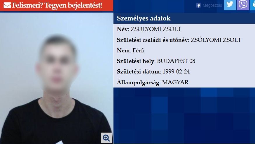 Zsólyomi Zsolt, sorozatgyilkos, Amerika, Miami
