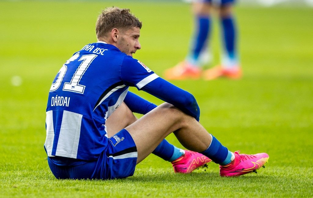 Dárdai Márton