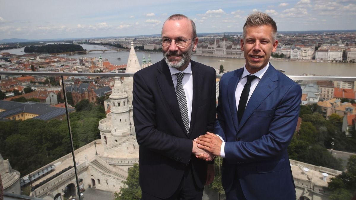 20240614 Budapest 
Mafred Weber az Európai Néppárt elnöke / EPP / megbeszélést folytatott 
Magyar Péterrel a Tisztelet és Szabadság Párt / Tisza Párt / vezetőjével és alelnökével a Karmelita kolostorban. 

Fotó: Teknős Miklós  TEK 
Magyar Nemzet  MN 

A képen: Manfred Weber 
Magyar Péter