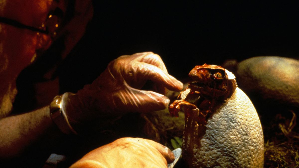 klónozós filmek, klónozósfilmek, összeállítás, 2025