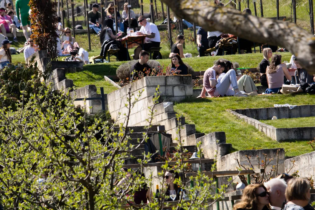 Etyeki Piknik, EtyekiPiknik, 2025, galéria