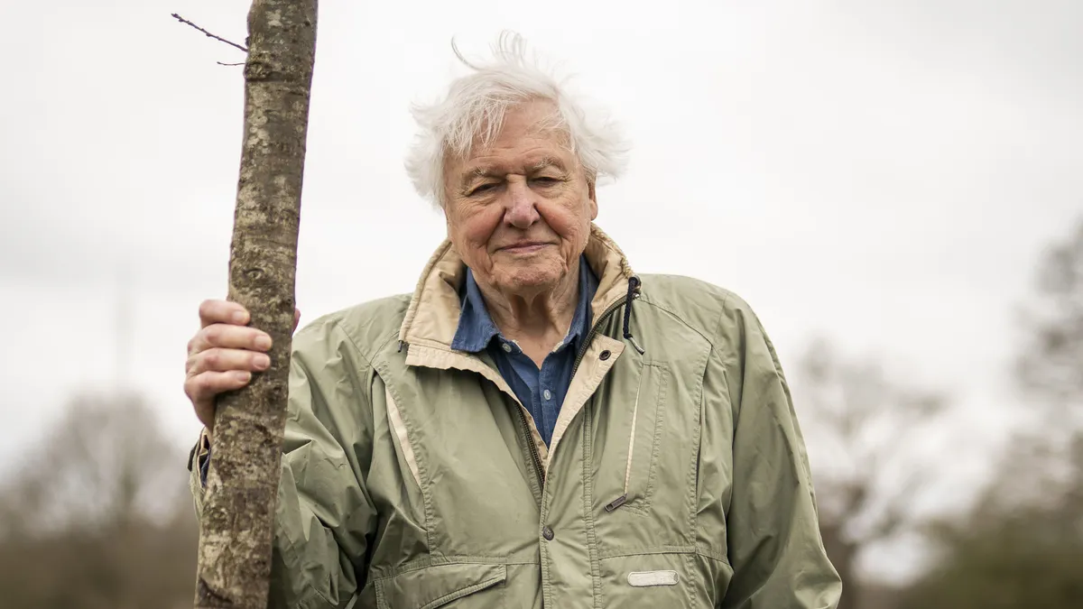 99 éves lett David Attenborough – mutatjuk, mekkora vagyonra tett szert