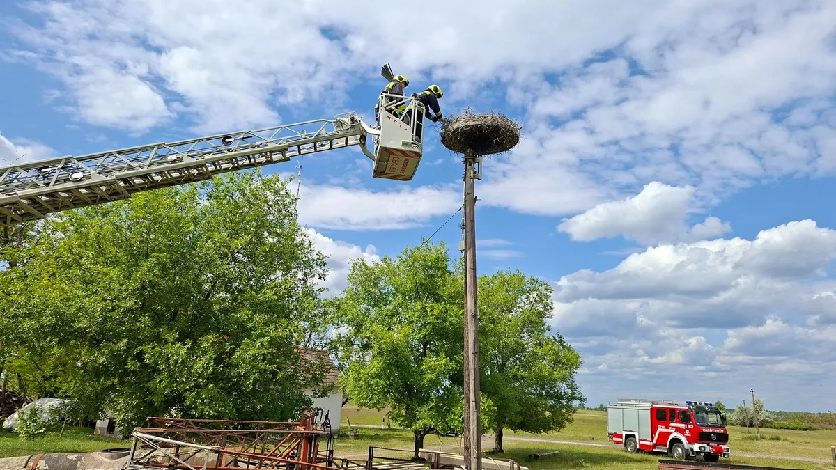 Gólyafiókák életét mentették meg Kocséron – videó