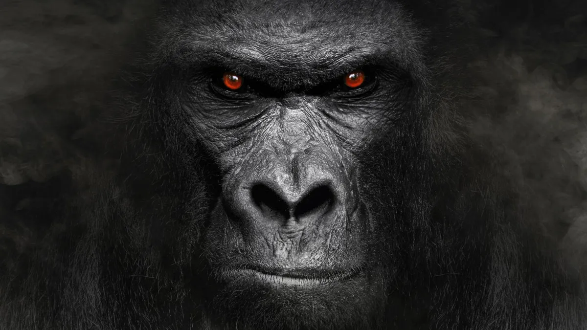 100 férfi vs. gorilla – Ki nyerne a harcban? Íme a szakértők válasza!