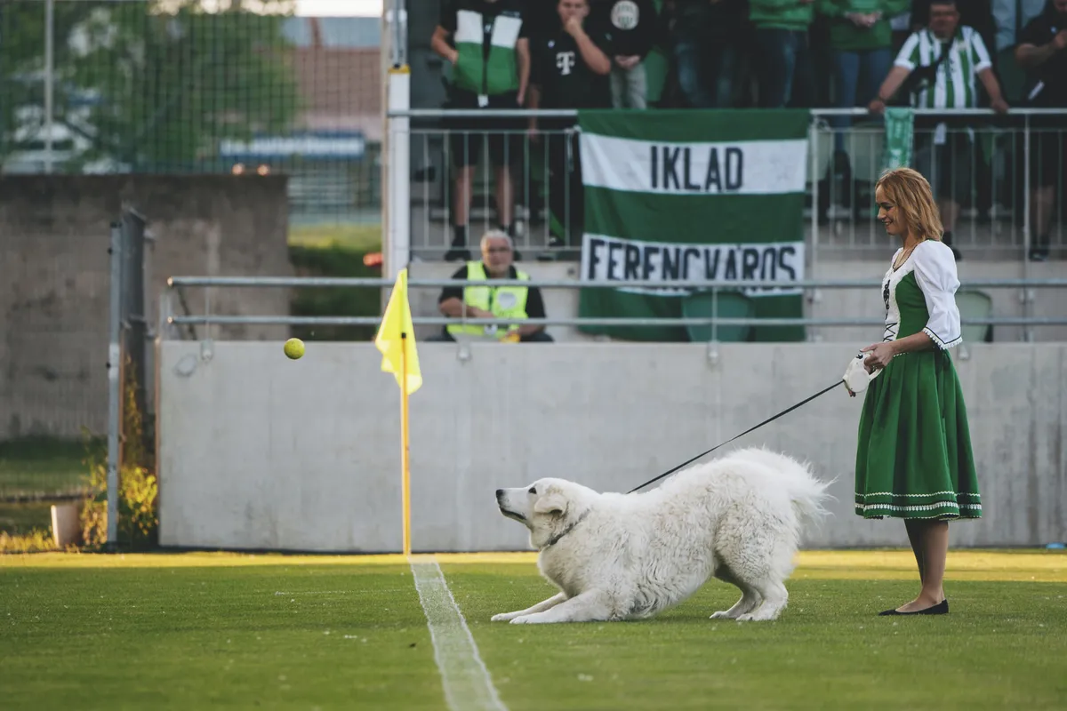 Paks - Ferencvárosi TC, FTC, Ferencváros, Fradi, Paksi FC, OTP Bank Liga, 31. forduló, Fehérvári úti stadion, Paks, 2025.05.10.