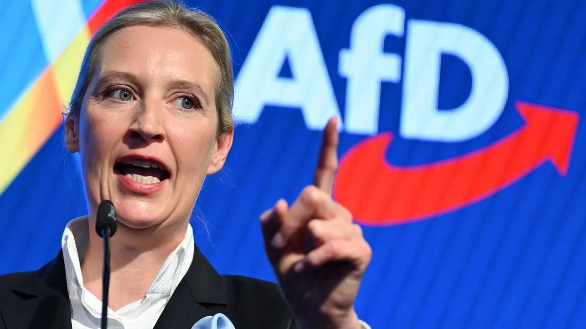 Az AfD nem viccel: beperlik az Alkotmányvédelmi Hivatalt