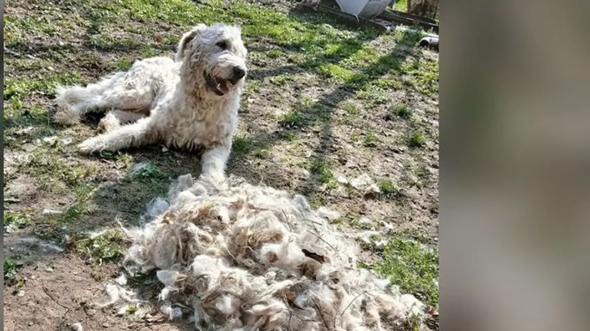 Sírni fog, mikor meglátja ezeket a Marketplace hirdetéseket