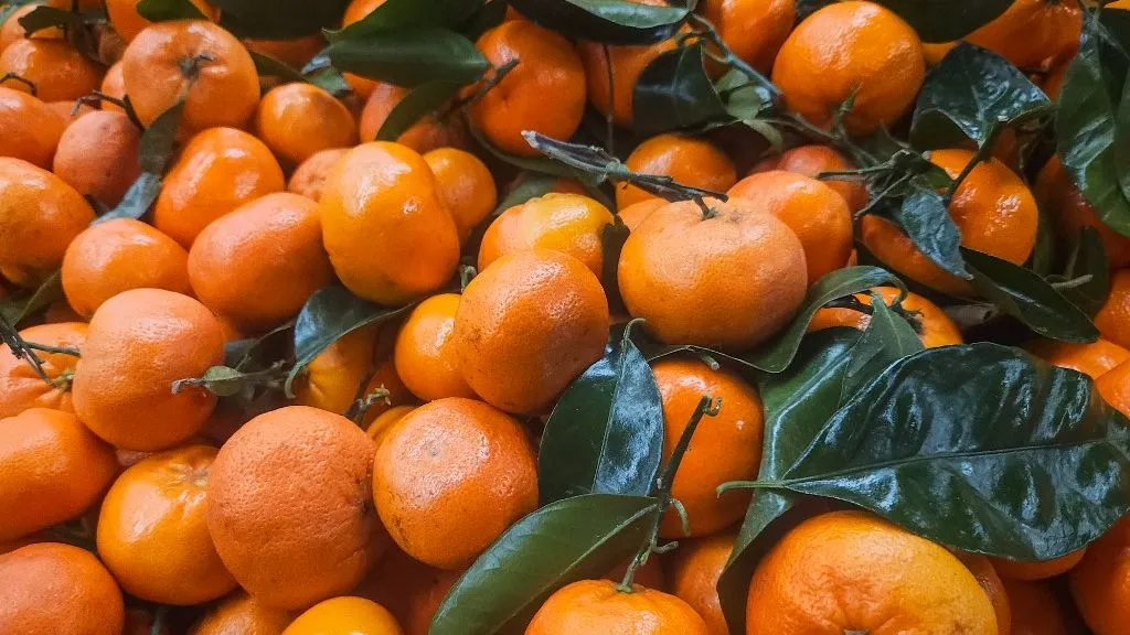 EDMONTON, CANADA  MARCH 29:
A close-up view of Mandarins displayed in a chain store in Edmonton, Alberta, Canada, on March 29, 2025. (Photo by Artur Widak/NurPhoto) (Photo by Artur Widak / NurPhoto / NurPhoto via AFP)