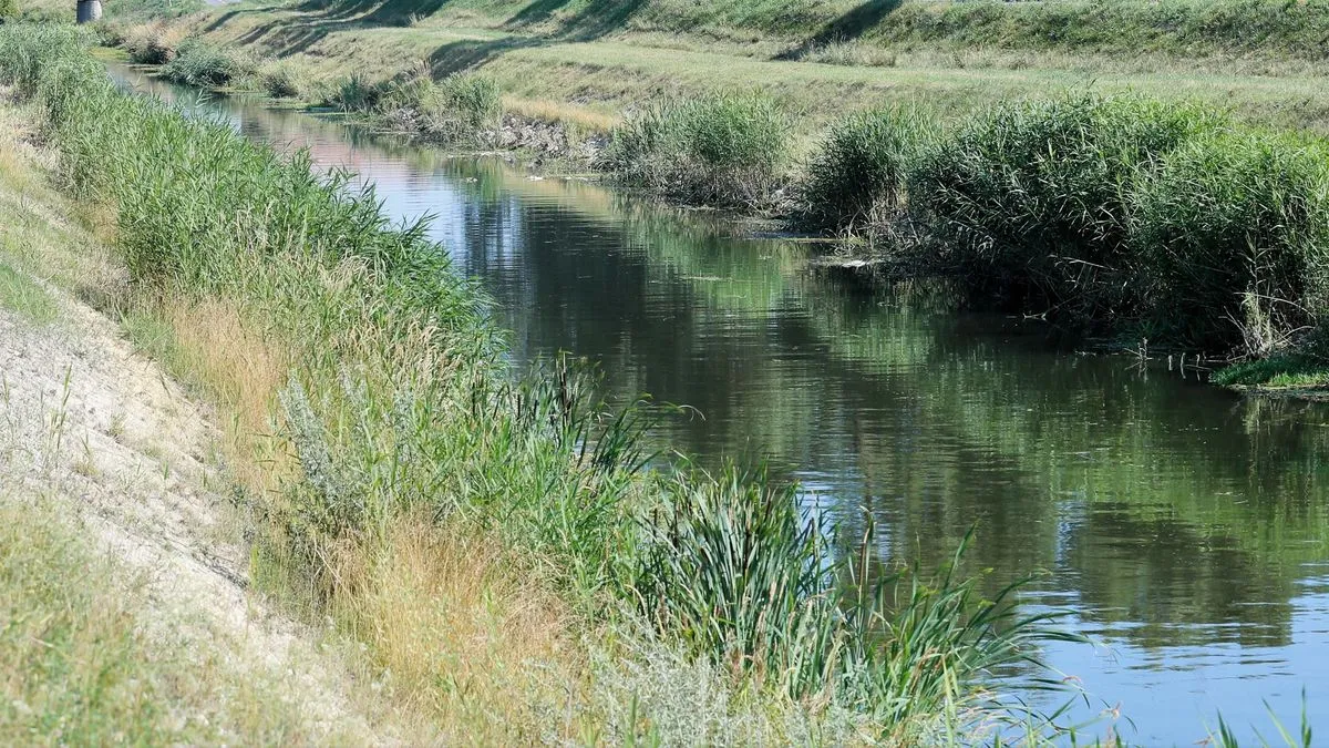 ismeretlen férfi holttest, Nádor-csatorna