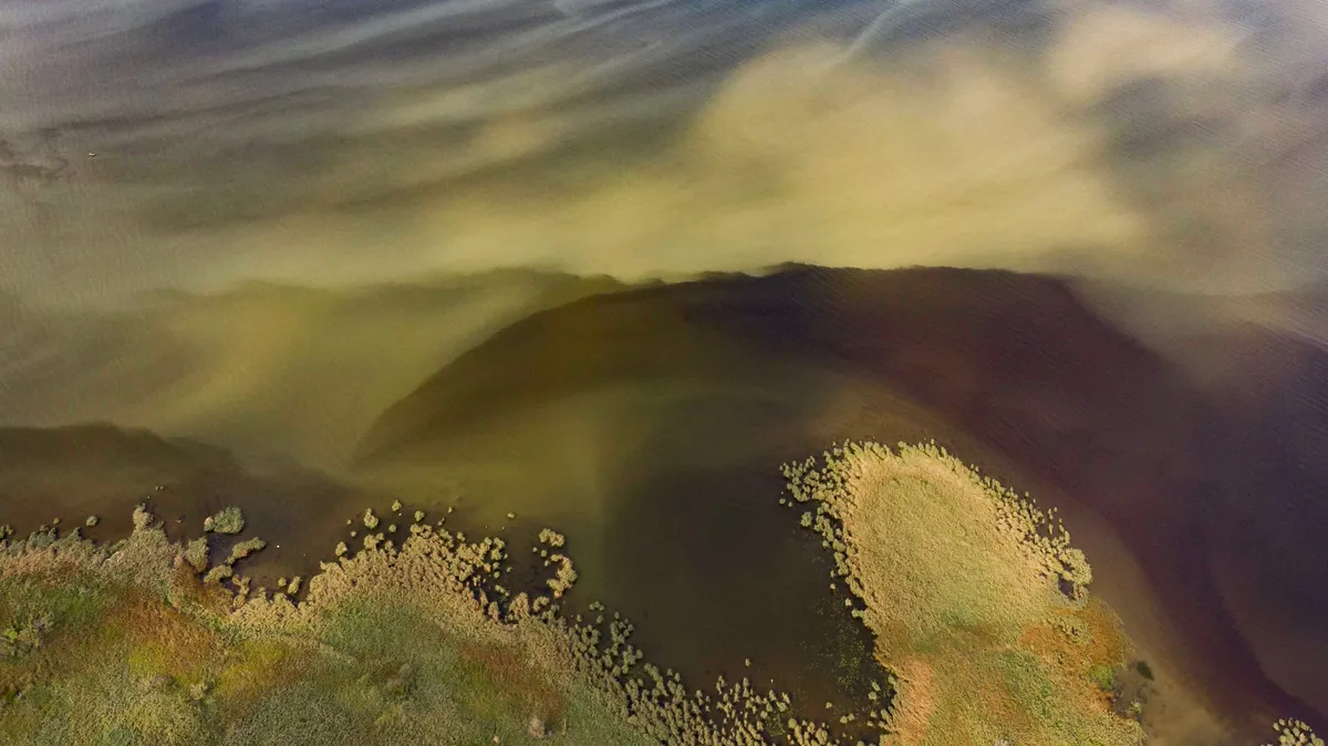 algásodás Balaton,algásodásBalaton, Keszthely, 2019. szeptember 11.
Algafoltok a Balatonon a Zala folyó torkolatánál, Keszthely külterületi településrésze, Fenékpuszta közelében 2019. szeptember 11-én. Az üledékből felszabadult foszfor lehetett a fő oka az augusztus végén megfigyelt rendkívüli algásodásnak a Balaton délnyugati területén - írta a Magyar Tudományos Akadémia (MTA) és a Budapesti Műszaki és Gazdaságtudományi Egyetem Vízgazdálkodási Kutatócsoportjának két tagja az Országos Vízügyi Főigazgatóságnak és az MTA-nak készített összefoglalójában.
MTI/Varga György