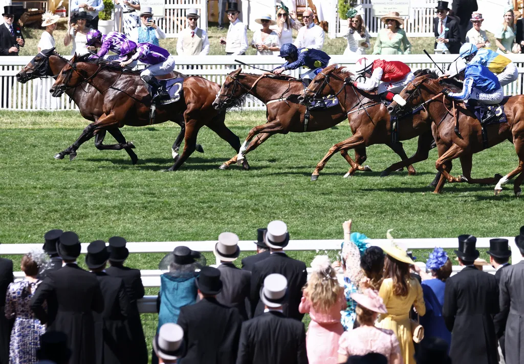 royal ascot derby, royalascotderby, 2025.