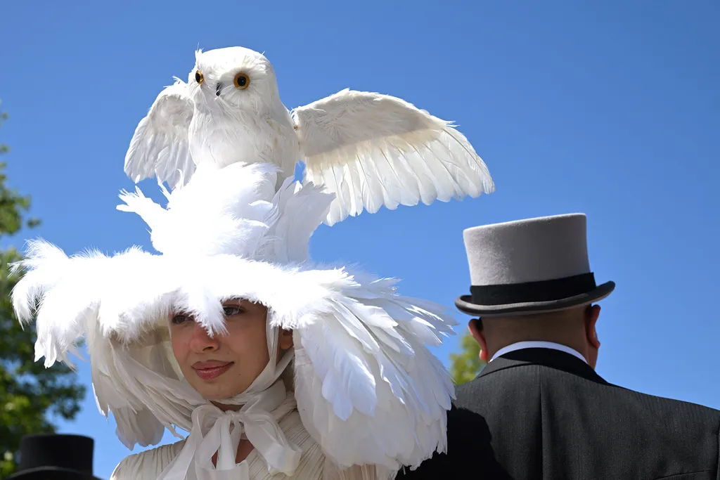 Royal Ascoti derby, RoyalAscotiderby, 2025.