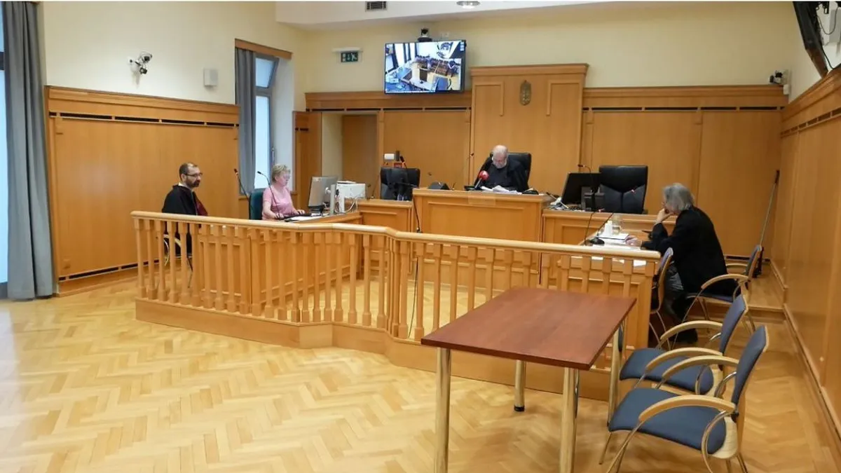 Döbbenetes ítélet született az élettársát késsel és kalapáccsal majdnem meggyilkoló férfi ügyében
