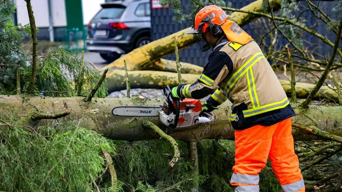 Láncfűrész miatt sérült meg egy védett állat a Balatonnál – videó