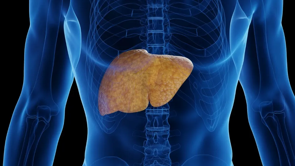 máj Fatty liver, illustration. (Photo by 3DMEDISPHERE/SCIENCE PHOTO LIBRA / SKX / Science Photo Library via AFP)