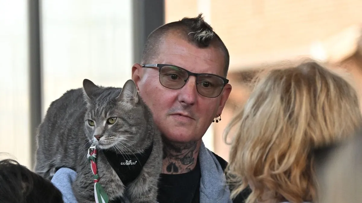 Nem semmi, hol tűnt fel újra az ország celebmacskája!