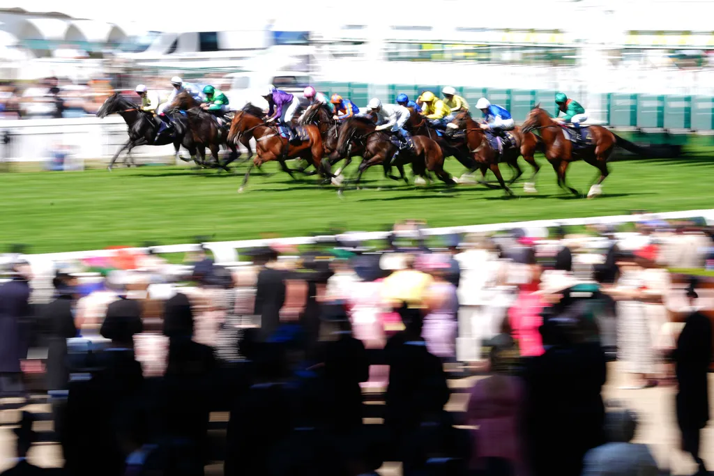 Royal Ascoti derby, RoyalAscotiderby, 2025.